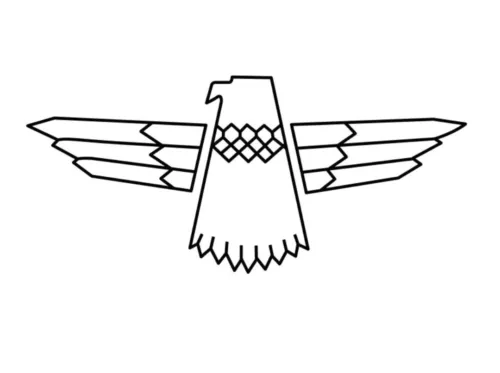 Gibson Thunder bird Guitar scratch plate decal,sticker  X1