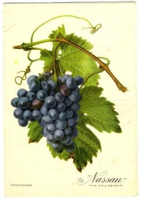 S S Nassau Menu Incres Line 1959 Vitis Viniferra