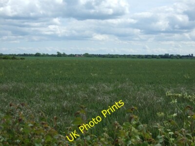 Photo 6x4 Crop field off Lincoln Road Holton cum Beckering Near Holton cu c2015