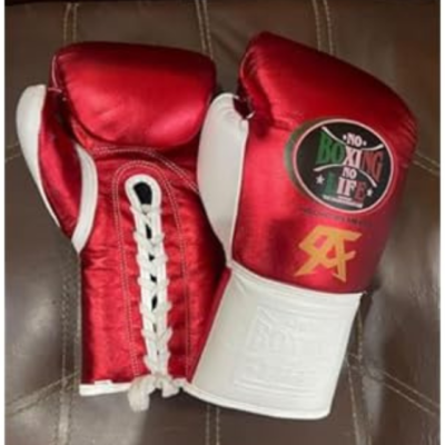 No Boxing No Life Sparing Boxing Gloves X Canelo Edition