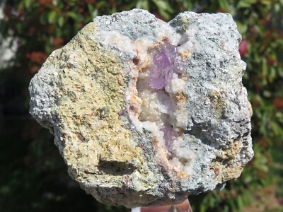 Minerals *** PURPLE AMETHYST in Osilo Geode, Sardinia 