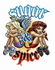 SUGAR SPICE FAIRIES STICKER - NEW GOTHIC FAIRY Decal - PRINT IMAGE PHOTO -G10