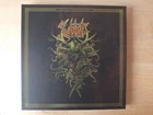 Sabbat   Mad Gods and Englishmen  5LPs + DVD  2023  Vinyl  mint-