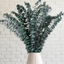 12 Pcs Preserved Dried Eucalyptus Stems, 17" Natural Branches for Shower Hang...