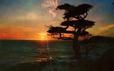 Vintage Postcard - Sunset View with Tree Silhouette - Oceanside, California