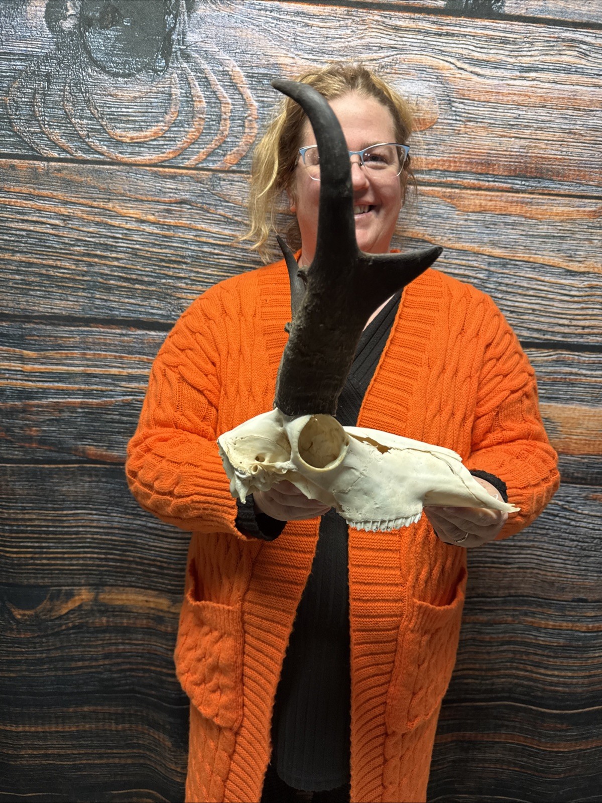 Pronghorn Antelope Skull Animal Mount Cabin Western Yard Decor Head Art Craft