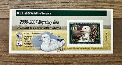 2006 Francobollo Diciottenni 18 Completo Busta, Lettera E Foglietto BLU - Foto 3