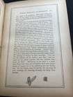 Picture 19 of 24