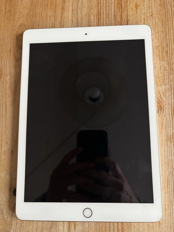 Apple iPad 5. Gen. 32GB, WLAN, 24,64 cm, (9,7 Zoll) - Gold - Bild 3 von 4