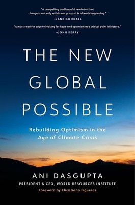 New Global Possible: Rebuilding Optimism in the Age of Climate Crisis Hardcover
