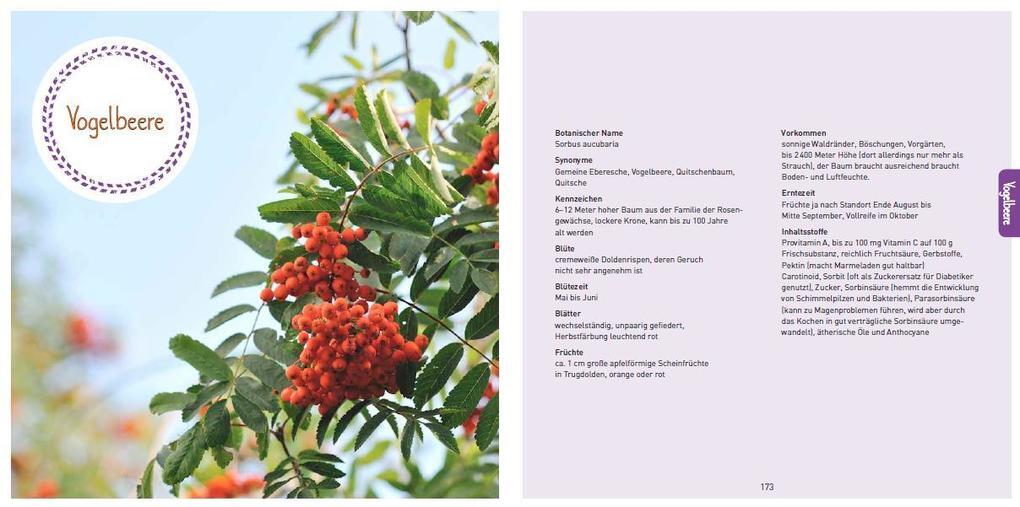 Thumbnail - Wild & Unwiderstehlich | Inge Waltl | 2017 | Deutsch