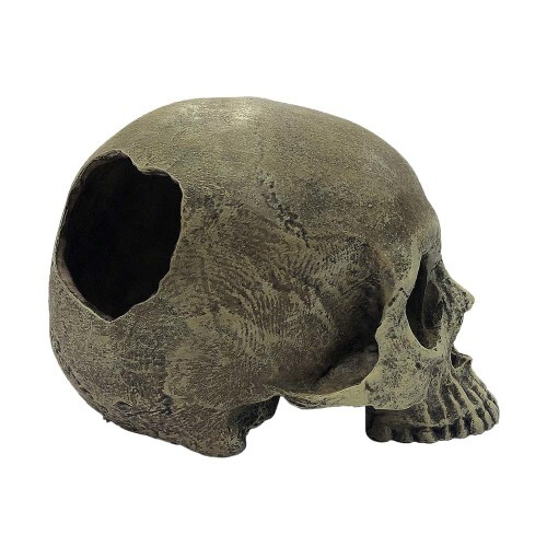 Komodo Half Human Skull Reptile Hideout Gray, 1 Each/One Size By Komodo - Picture 1 of 1