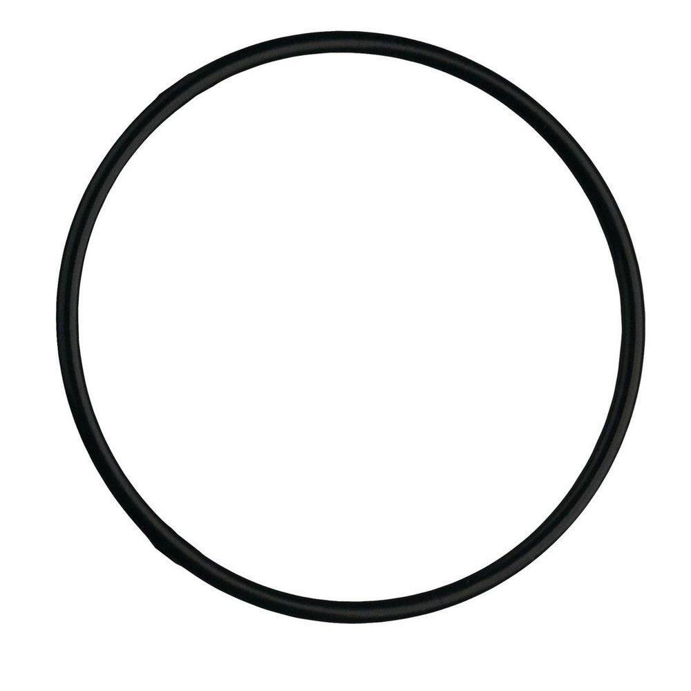 Watts 7300398 EPDM, O-Ring for PWHP Full Flow Water Filter Housing PWORFFHSG