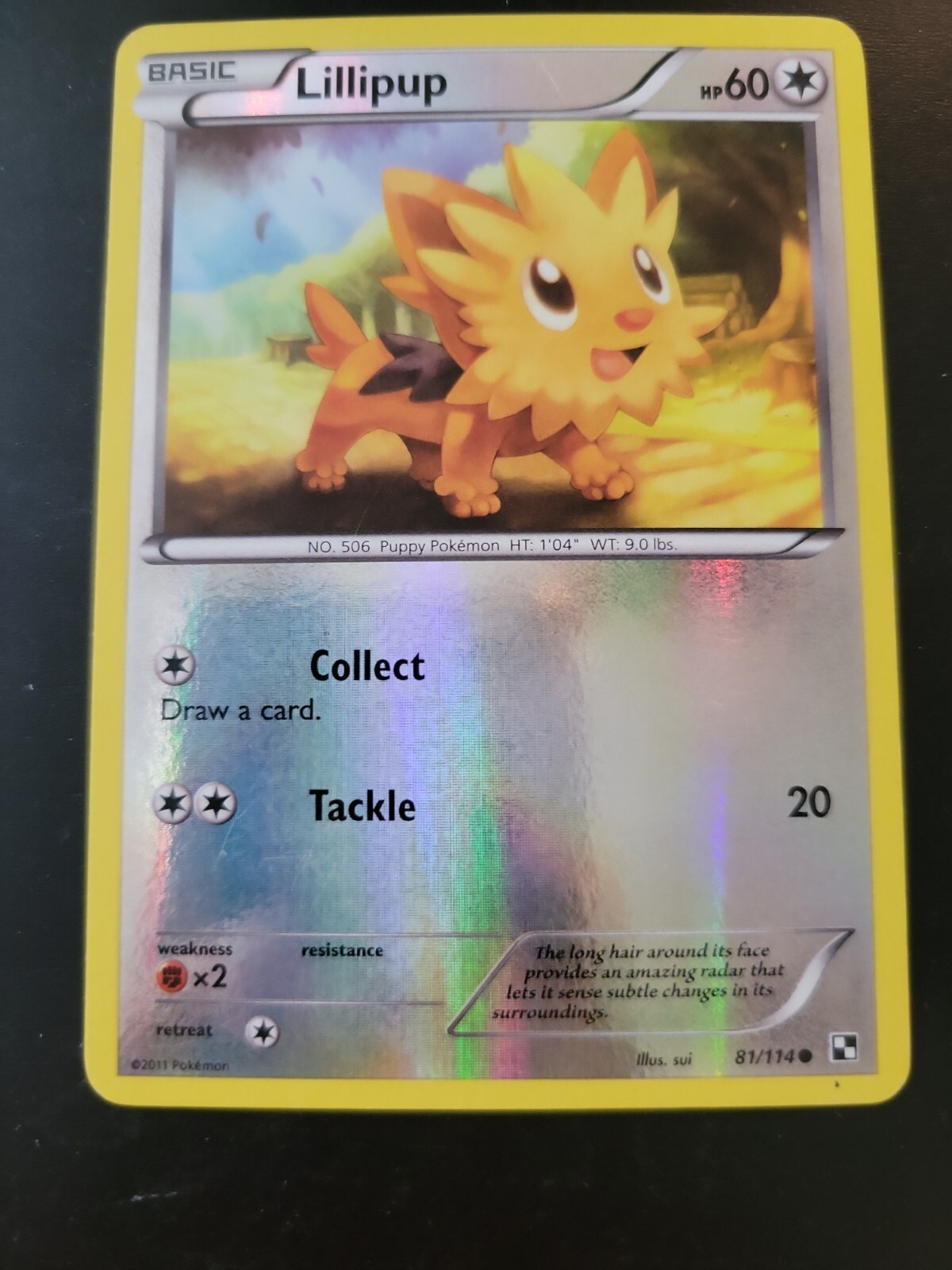 Pokemon Card 2011 Black & White - Lillipup 81/114 Reverse Holo