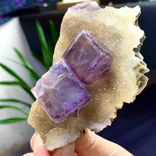 270G Inner Mongolia natural transparent purple cubic fluorite mineral - Picture 7 of 23