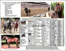 Thoroughbred race horse AFLEET ALEX Picture P...