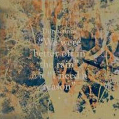 DISTRACTIONS: WE WERE BETTER OFF IN THE RAIN - 7'' vinyl