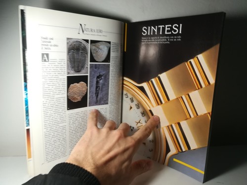 RIVISTA NATURA OGGI NATURA ANIMALI SELVAGGI TERRA ANNI 80 DA COLLEZIONE - (148) - Foto 6 di 9