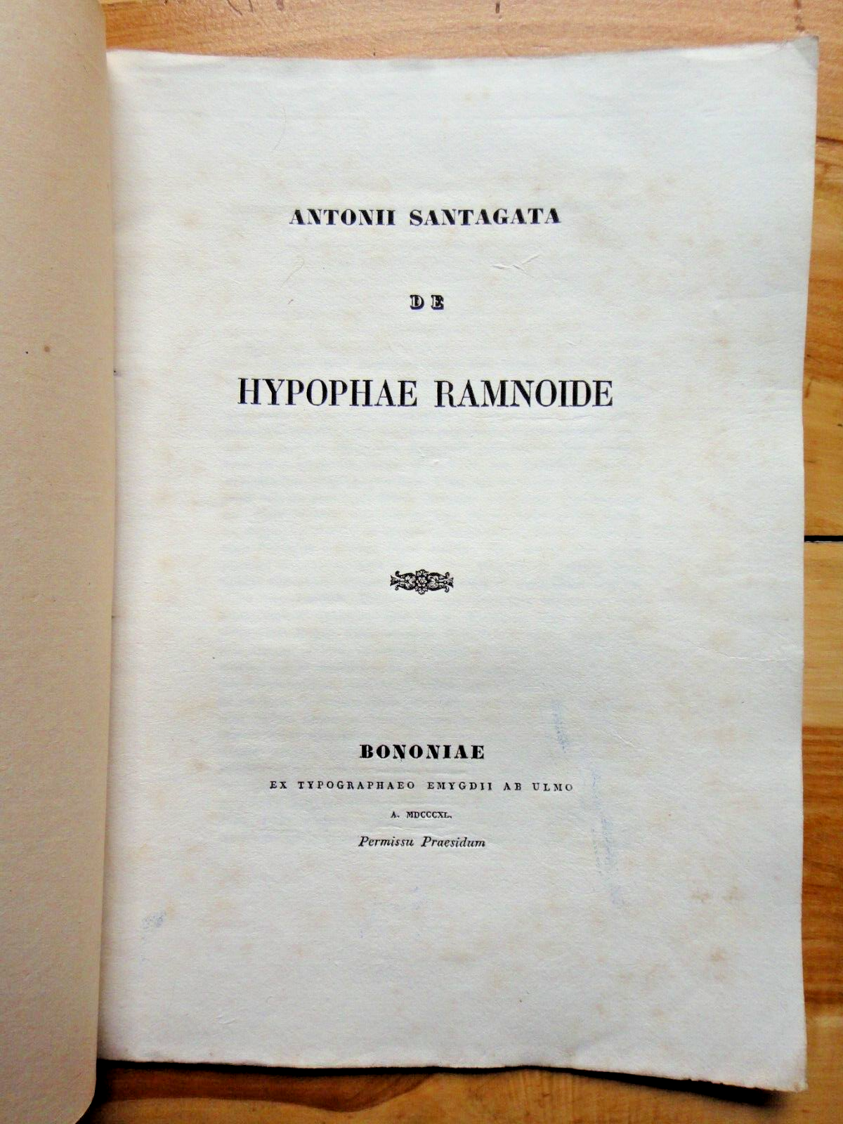 Foto 1 di 3