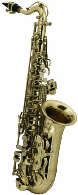 ROY BENSON AS-201 Kinder Eb-Alt Saxophon