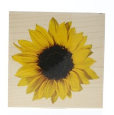 Inkadinkado Sunflower Petals Garden Bloom Wooden Rubber Stamp