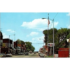 County Seat of Price County Good Musky Fishing Phillips WI Vintage Postcard SPL9