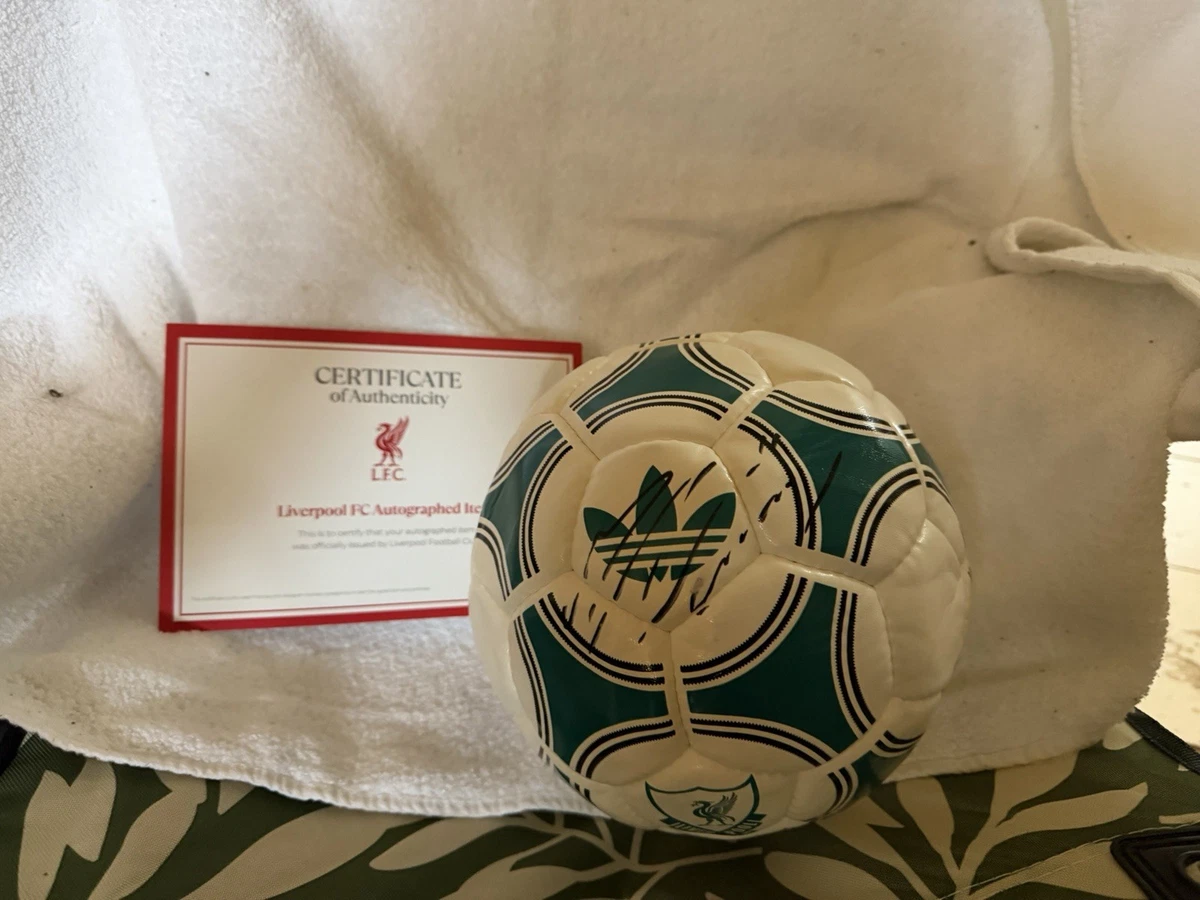 ⭐2002⭐サイン入り⭐Soccer ball autographed サッカー Signed Balls Original Football Autographs for sale | eBay UK