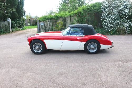 1962 Austin Healey 3000 Mk.IIA BJ7 - Picture 6 of 24