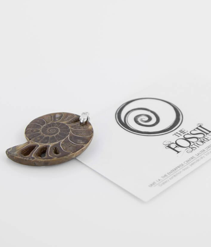 925 SILVER JEWELLERY FOSSIL AMMONITE PENDANT 38MM - Picture 5 of 7