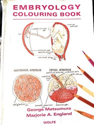Embryology Coloring Book,George Matsumura, Marjorie A. England