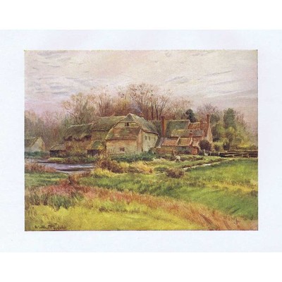 BINDON ABBEY Dorset The Mill - antiker Druck 1906