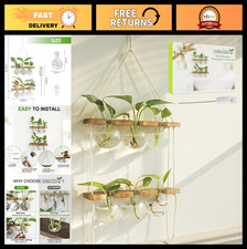 "2-Tier Plant Propagation Station with Wooden Stand 6 Bulb Glass Vases - Hydro
