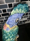 Picture 12 of 20