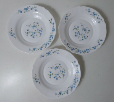 3 Hohlkammerplatten Arcopal Vintage Modell Myosotis