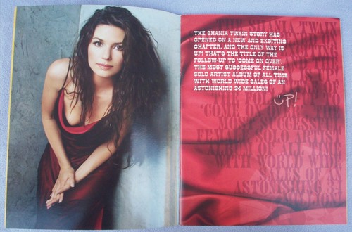 SHANIA TWAIN LARGE TOUR PROGRAMME Excellent Condition 30.5 x 24.5 cm COUNTRY - Picture 2 of 3