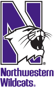 Northwestern Wildcats NCAA Mens Embroidered Polo Shirt XS-6XL, LT-4XLT New