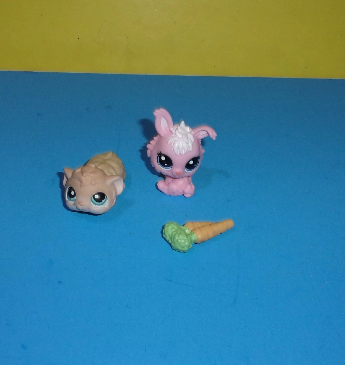 Littlest pet hotsell shop diva squad
