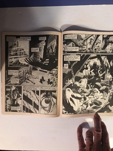 Two Books! The SAVAGE SWORD of CONAN #160 (May 1989) The Punisher June 11 1990 - Picture 8 of 8