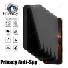 Privacy Tempered Glass Screen Protector Lot For iPhone 16 15 14 13 12 11 Pro XR