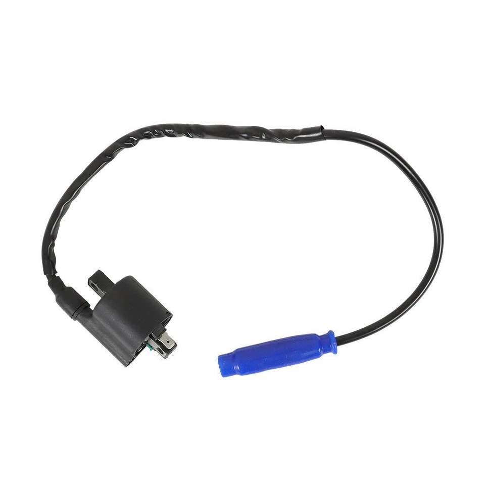 2× Ignition Coil Spark Plug & Cap For Kawasaki Teryx 800 KRF800 2015-2022 Foto 3 de 4