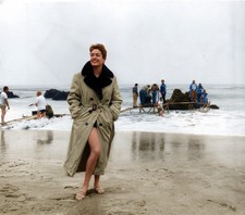 Cappotto Joan Crawford di proprietà indossato anni 60 di LL Bergere di Sydney Guilaroff