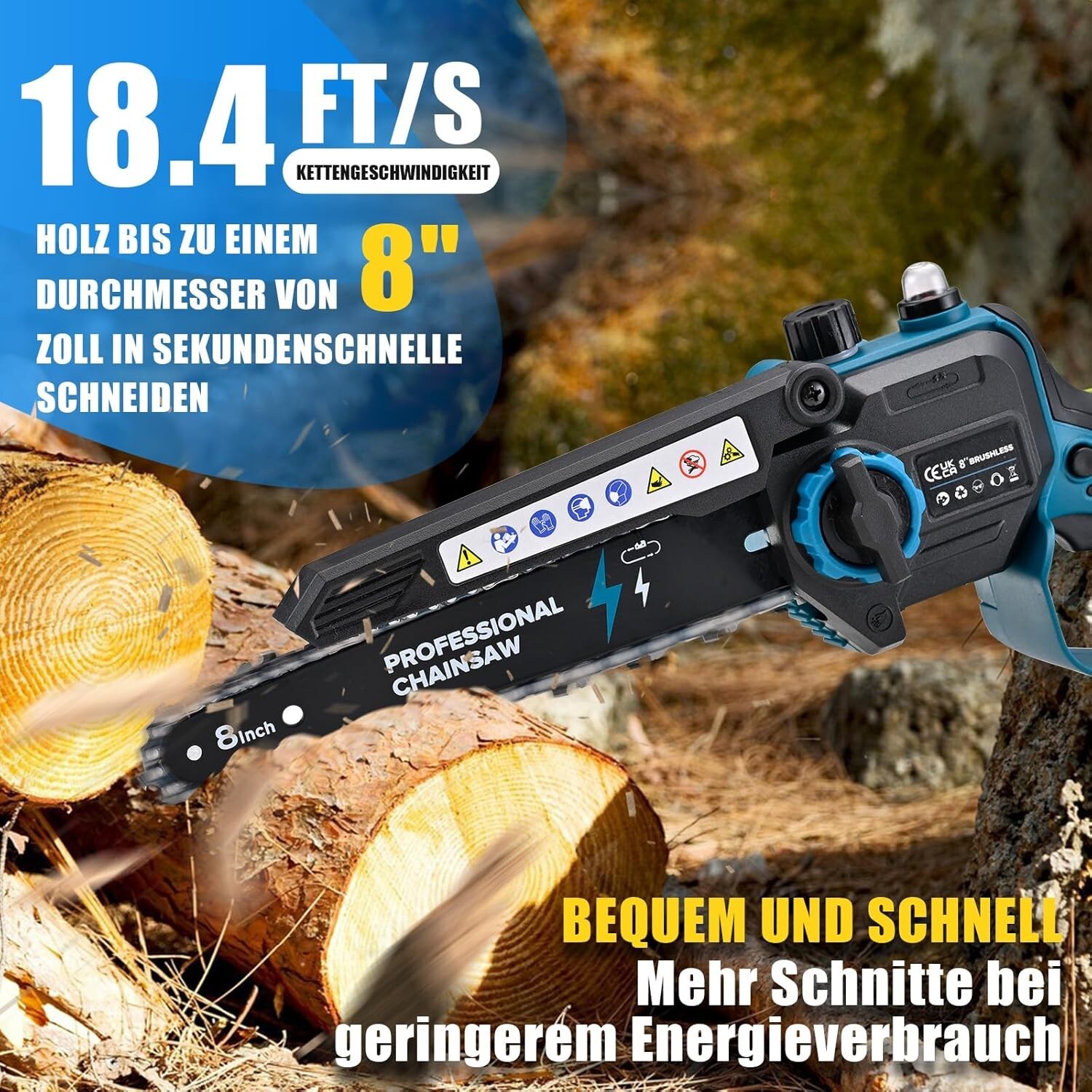Bild 5 von 10