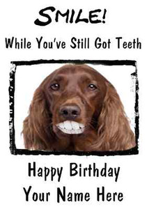 happy birthday irish setter