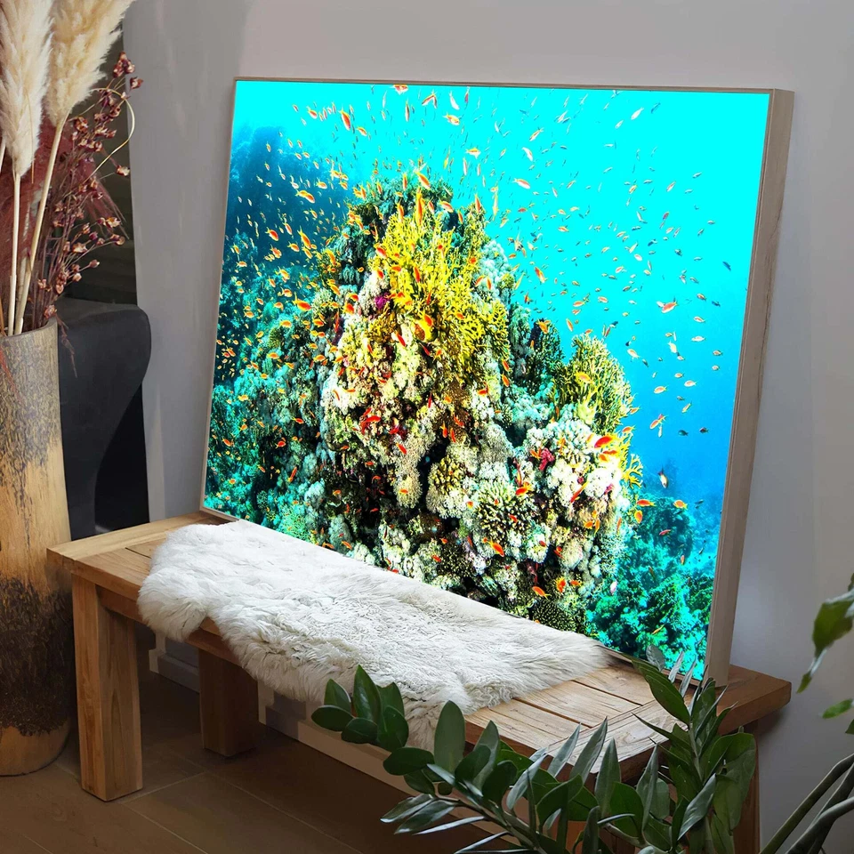 LED Leuchtbild - Korallenriff mit bunten Fischen Leuchtendes Wandbild mit Rahmen - Bild 2 von 4