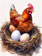 Tile Mural Rustic Farmhouse Hen with Eggs in Nest Kitchen Wall Backsplash