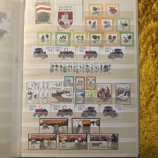 Bielorussia (Bielorussia) piccola collezione molto pulita nuova di zecca