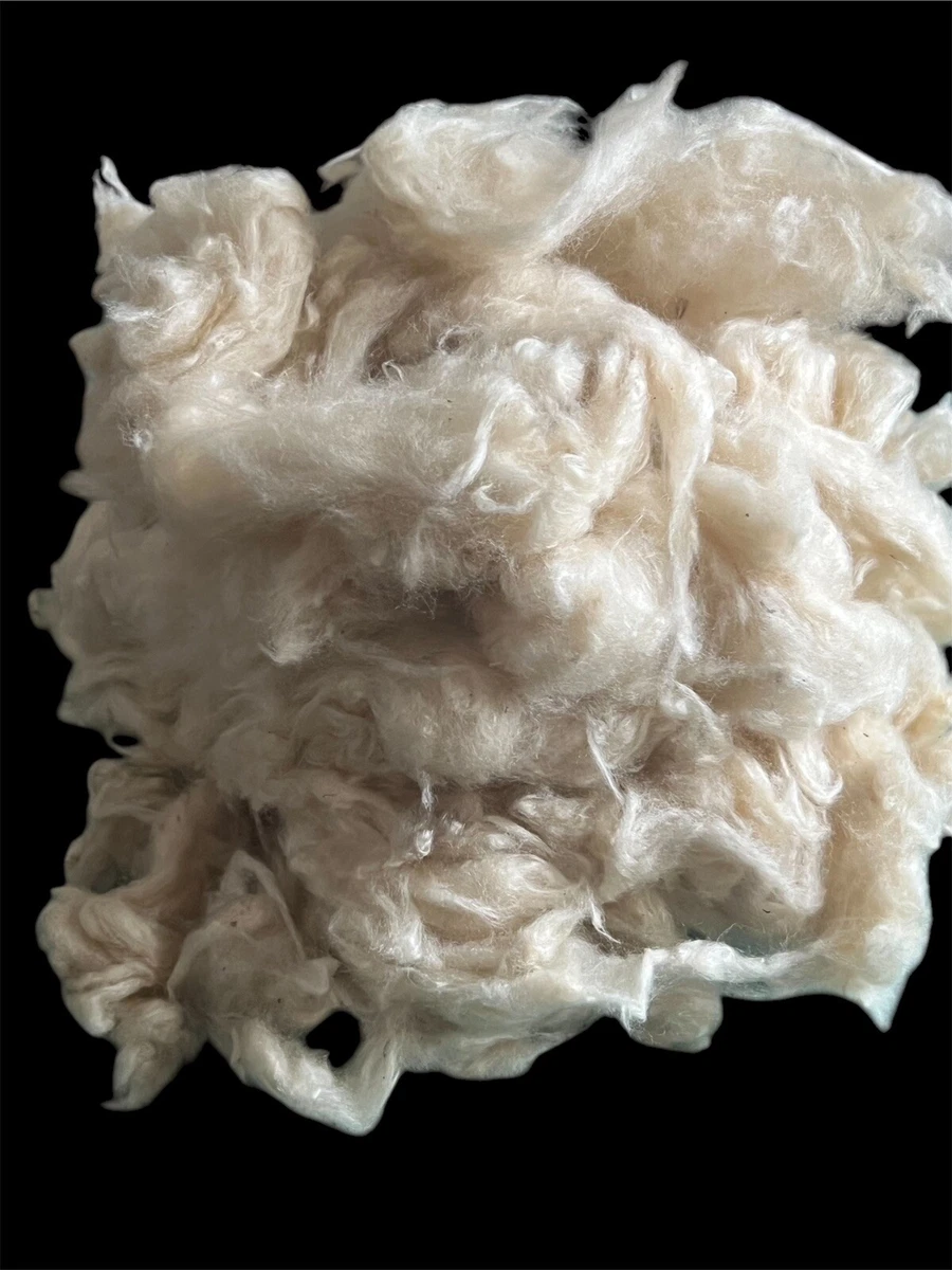Angora Rabbit Wool Spinning