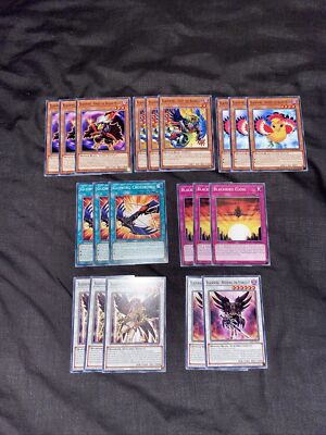 Yu-Gi-Oh 20 Karten Schwarzflügel Support Bundle Deck Core 1. Auflage LDS2