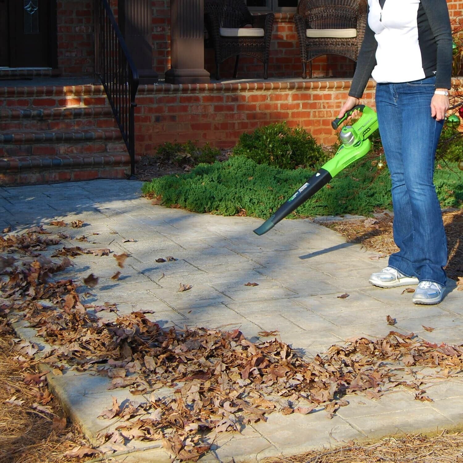 24V Lightweight Leaf Blower with Battery - 2-Speed Power for Effortless Cleaning