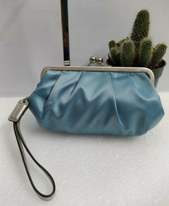 large evening clutch